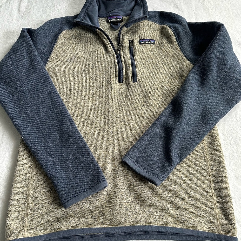 Patagonia Blue and Cream Better Sweater